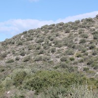 Land plot in Greece, Crete