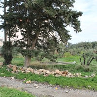 Land plot in Greece, Crete