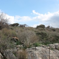 Land plot in Greece, Crete