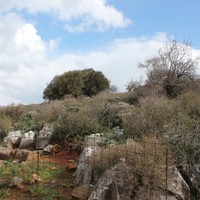 Land plot in Greece, Crete