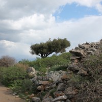 Land plot in Greece, Crete