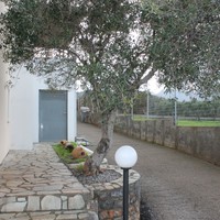 Другое в Греции, Крит, 217 кв.м.