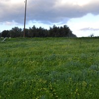 Земельный участок в Греции, Крит, Ираклион