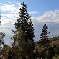 Land plot in Greece, Ionian Islands