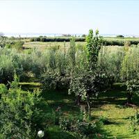 Land plot in Greece, Central Macedonia, Khal