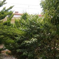 Таунхаус в Греции, Центральная Македония, Центр, 85 кв.м.