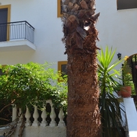 Отель (гостиница) в Греции, Ионические острова, 300 кв.м.