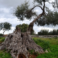 Other in Greece, Crete, 300 sq.m.