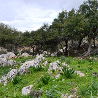 Other in Greece, Crete, 300 sq.m.