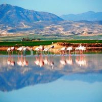 Other commercial property in Republic of Cyprus, Eparchia Larnakas, 1100 sq.m.