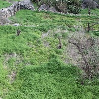 Land plot in Greece, Crete