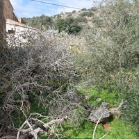 Land plot in Greece, Crete