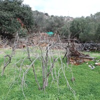 Земельный участок в Греции, Крит