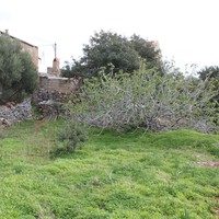 Земельный участок в Греции, Крит