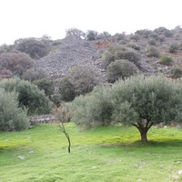 Земельный участок в Греции, Крит