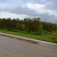 Land plot in Greece, Crete, Irakleion