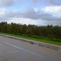 Land plot in Greece, Crete, Irakleion