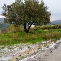 Земельный участок в Греции, Крит, Ираклион