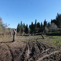 Земельный участок в Греции, Ионические острова