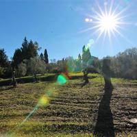 Земельный участок в Греции, Ионические острова