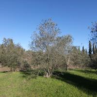 Земельный участок в Греции, Ионические острова