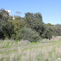 Land plot in Greece, Crete
