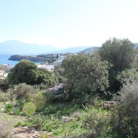 Land plot in Greece, Crete