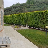 Другое в Греции, Центральная Македония, Центр, 170 кв.м.