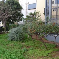 Flat in Greece, Crete, Chania, 117 sq.m.