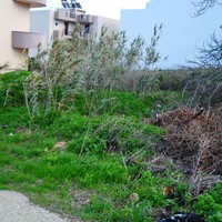 Land plot in Greece, Crete, Chania