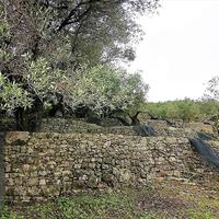 Земельный участок в Греции, Ионические острова