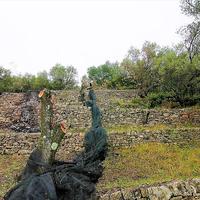 Земельный участок в Греции, Ионические острова