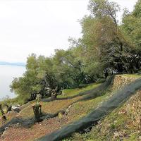 Земельный участок в Греции, Ионические острова