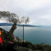 Земельный участок в Греции, Ионические острова