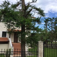 Other in Greece, Central Macedonia, Center, 227 sq.m.