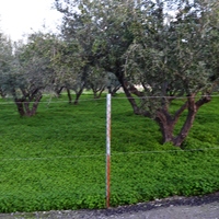 Land plot in Greece, Crete, Irakleion