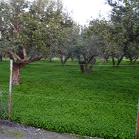 Land plot in Greece, Crete, Irakleion