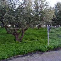 Land plot in Greece, Crete, Irakleion