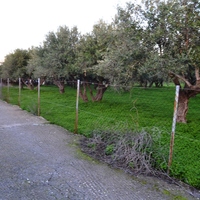 Land plot in Greece, Crete, Irakleion