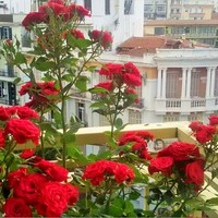 Квартира в Греции, Центральная Македония, Центр, 135 кв.м.