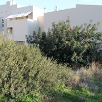 Земельный участок в Греции, Крит