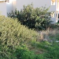 Земельный участок в Греции, Крит