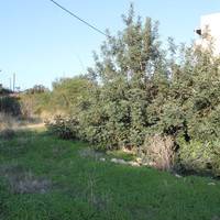 Земельный участок в Греции, Крит