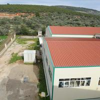 Бизнес-центр в Греции, Пелопоннес, 4665 кв.м.