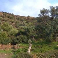 Land plot in Greece, Crete, Irakleion