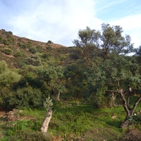 Land plot in Greece, Crete, Irakleion