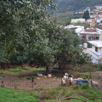 Land plot in Greece, Crete, Irakleion
