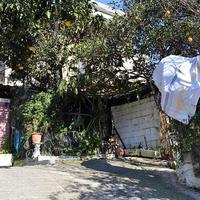 Квартира в Греции, Ионические острова, 100 кв.м.