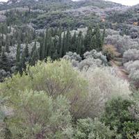 Земельный участок в Греции, Ионические острова