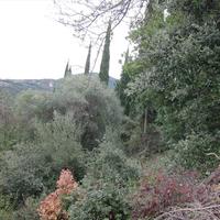 Земельный участок в Греции, Ионические острова